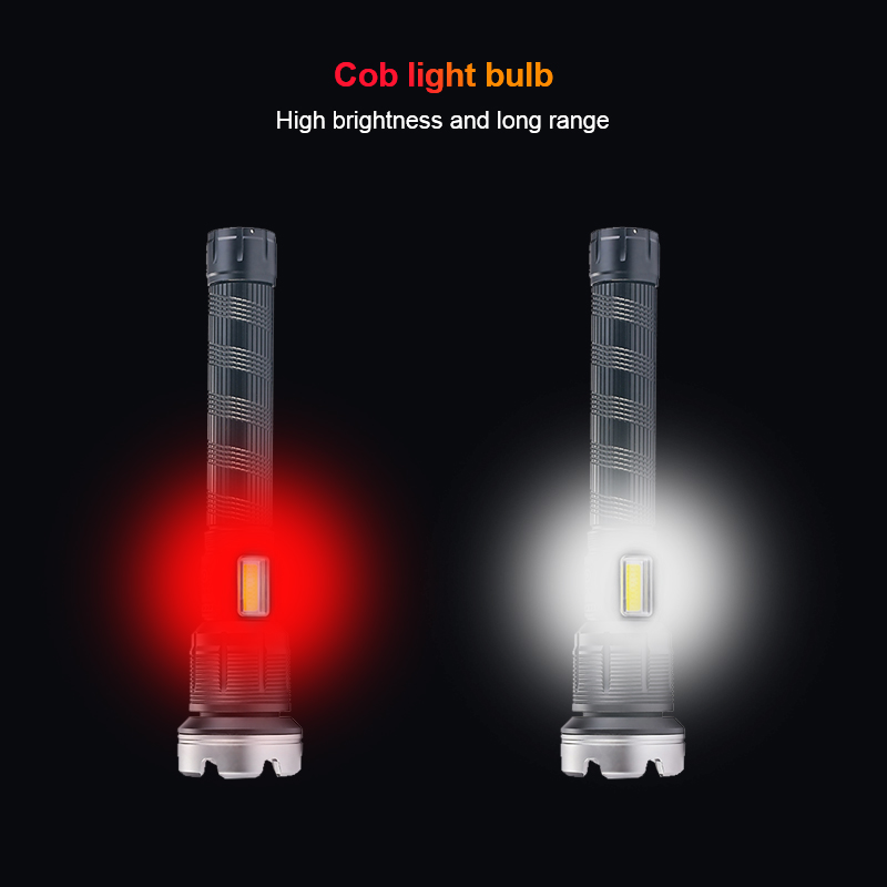 Zoomable Dual Light Hunting Fl - Outdoor Lighting Mains Powered 评论和价格
