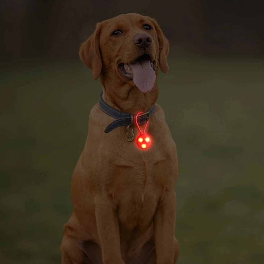 Outdoor Backpack Lights Silico - Outdoor Lighting Led Strip 评论和价格