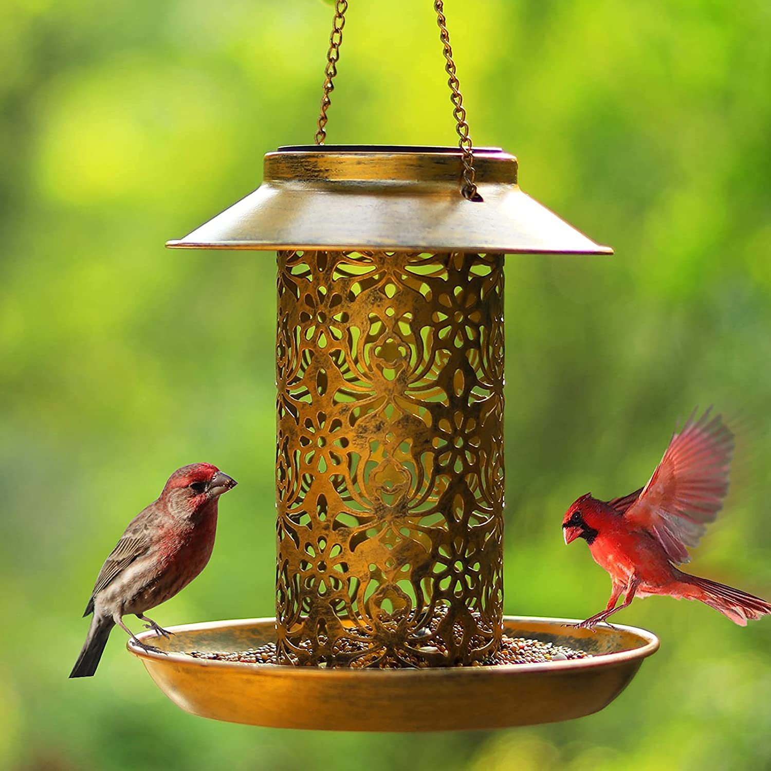 Hanging Bird House Metal Outdo - Outdoor Lighting Ideas For Backyard 评论和价格